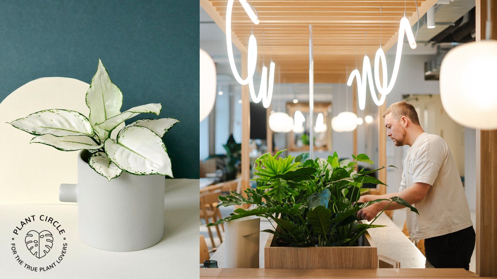 The two founders of Plant Circle at a table surrounded by houseplants